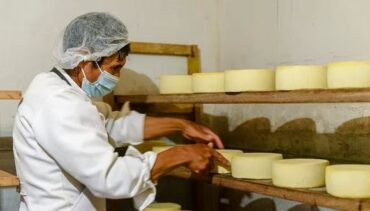 Maíz chullpi y queso cusqueño despiertan el interés de importantes hoteles y restaurantes turísticos